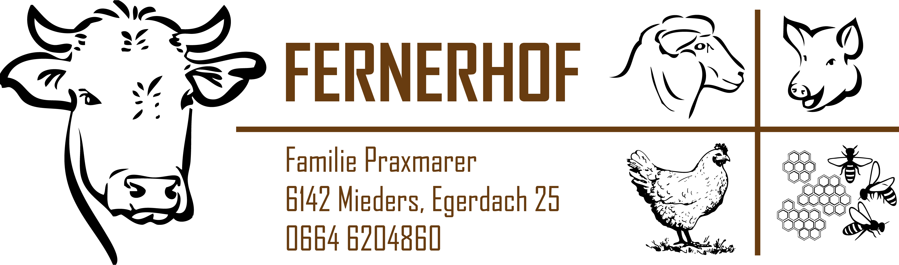 Read more about the article Fernerhof Mieders